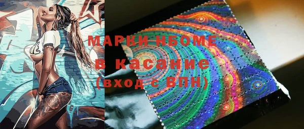 шишки Аркадак