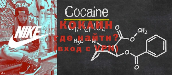 шишки Аркадак