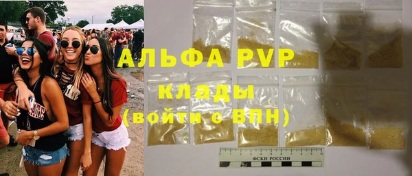 шишки Аркадак