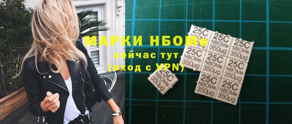 шишки Аркадак